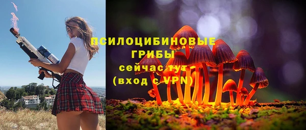 ПСИЛОЦИБИНОВЫЕ ГРИБЫ Балабаново