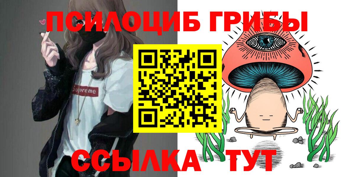 Псилоцибиновые грибы прущие грибы Северодвинск