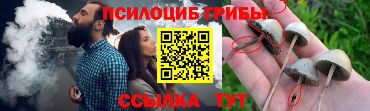 Северодвинск  Галлюциногенные грибы MAGIC MUSHROOMS  Вход с VPN 