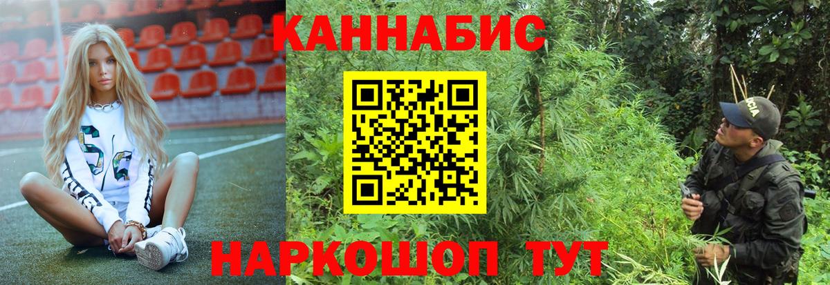 Шишки марихуана гибрид Северодвинск